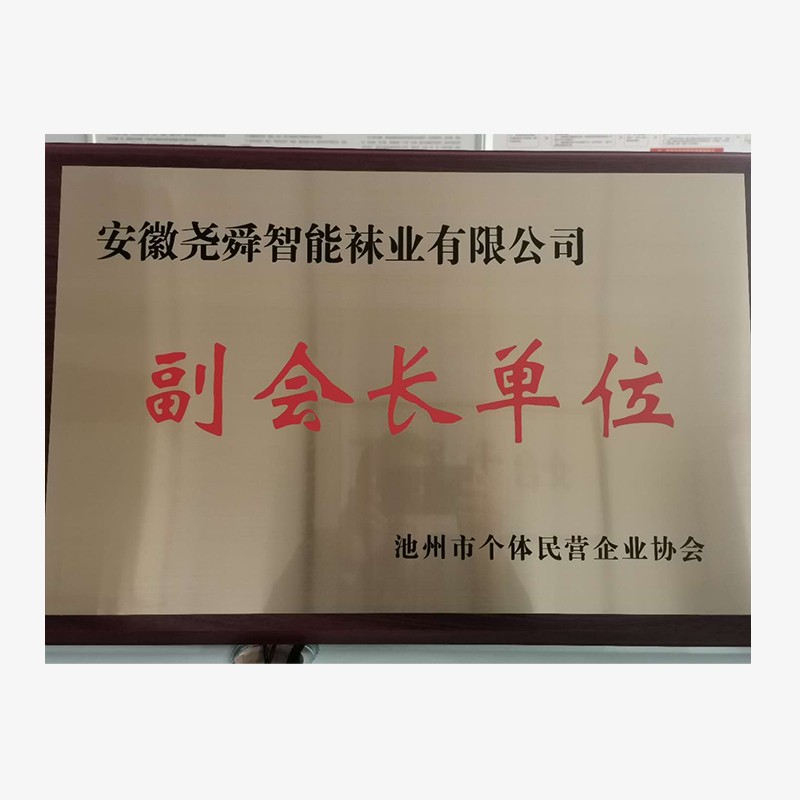 池州市個(gè)體民營企業(yè)協(xié)會(huì)副會(huì)長單位