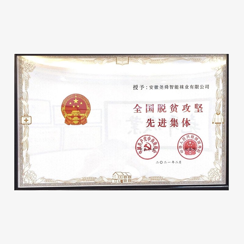 2021全國脫貧攻堅先進集體證書