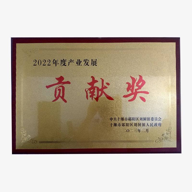 2022年度產(chǎn)業(yè)發(fā)展貢獻(xiàn)獎(jiǎng)