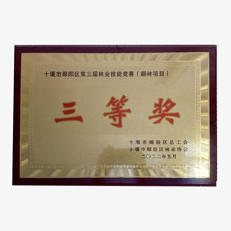 十堰市鄖陽區(qū)第三屆襪業(yè)技能競賽三等獎(jiǎng)