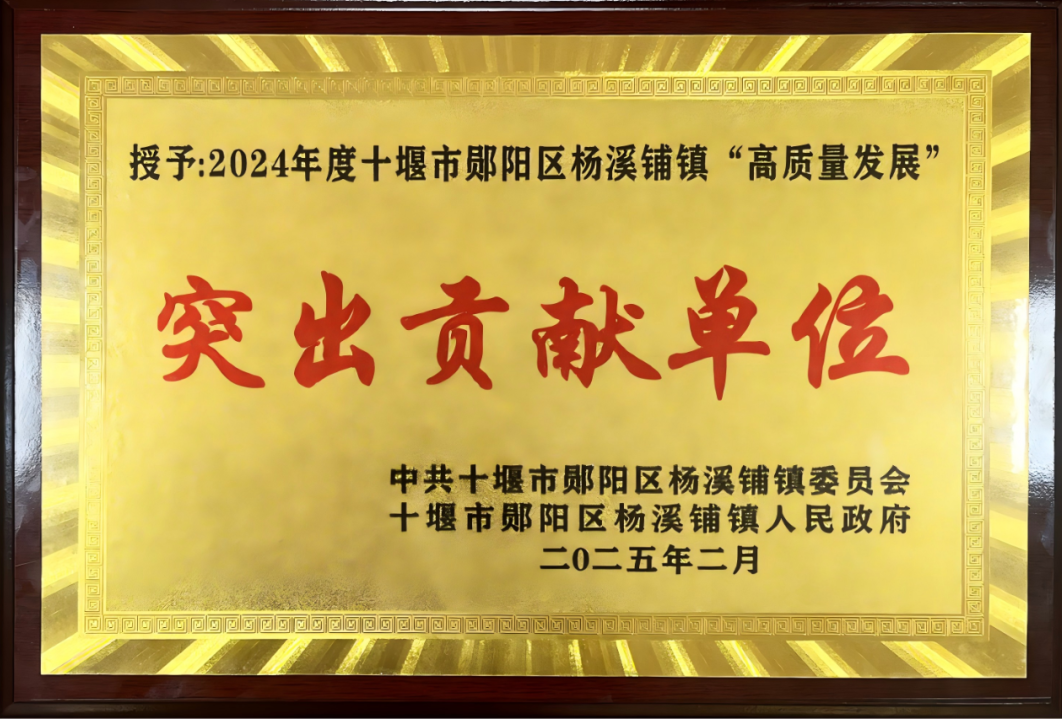 棉伙棉伴2024年度楊溪鋪鎮(zhèn)高質(zhì)量發(fā)展突出貢獻(xiàn)單位